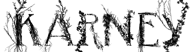 Chameleon Logo